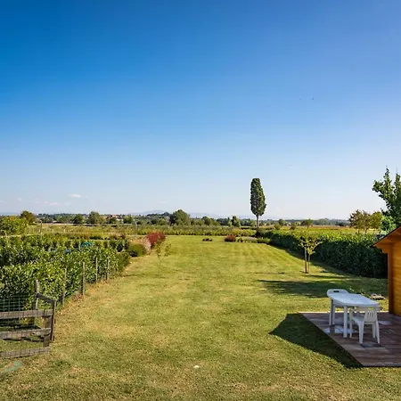Borgo Terrosi Bed & Breakfast